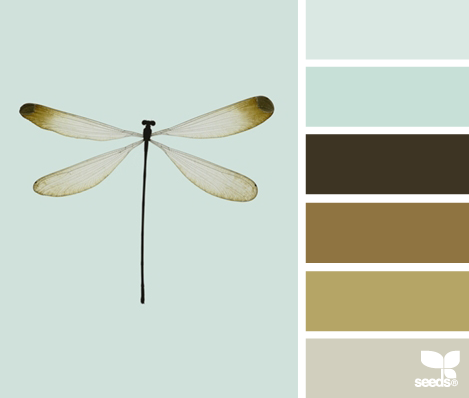 dragonfly hues