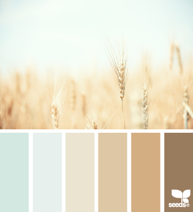 wheat tones