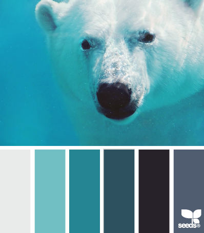 polar blues