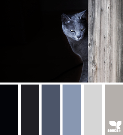 cat tones