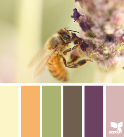 pollinated palette