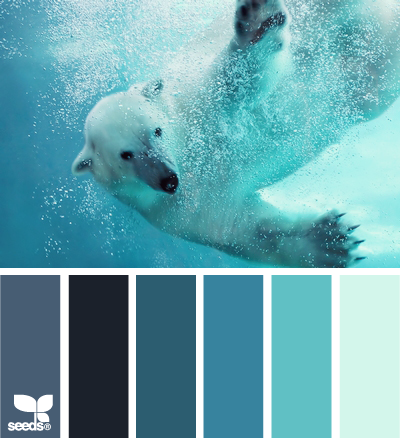 polar palette