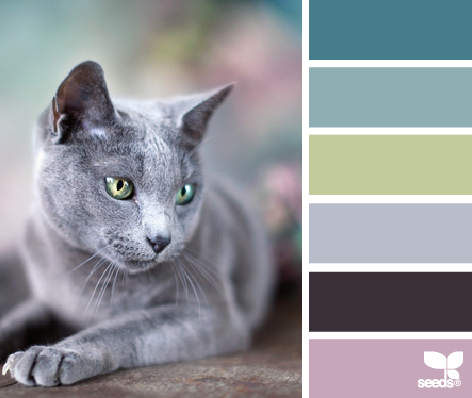 cat hues