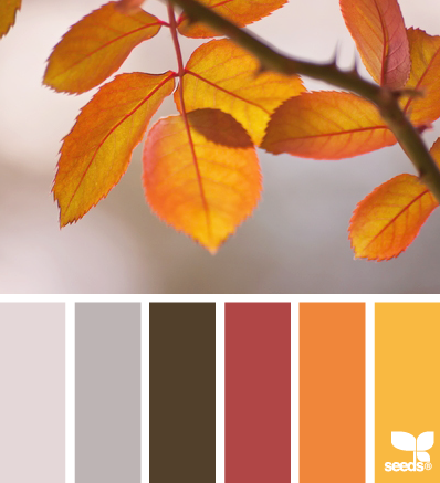 autumn palette