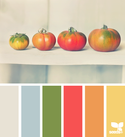 tomato tones