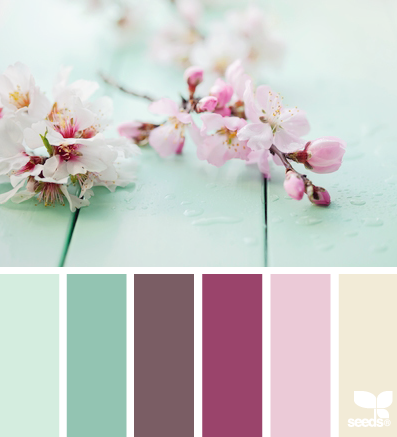 blossoming palette