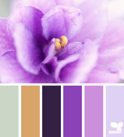 petalled palette