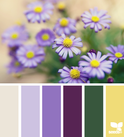 petalled palette