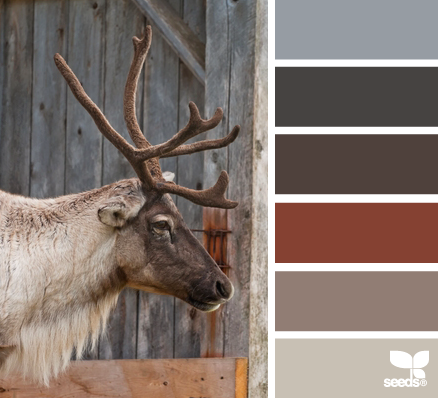 caribou color