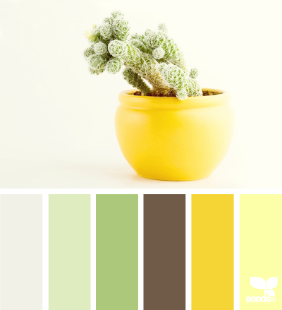 potted hues