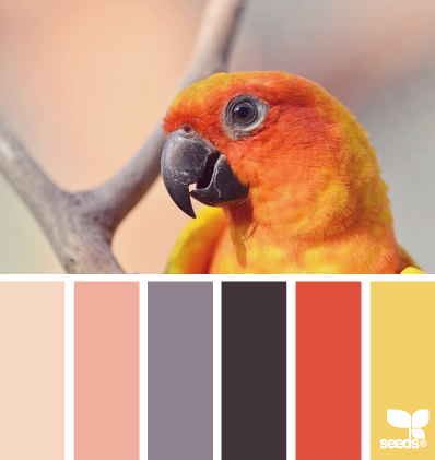 feathered palette