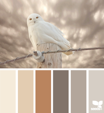 owl tones