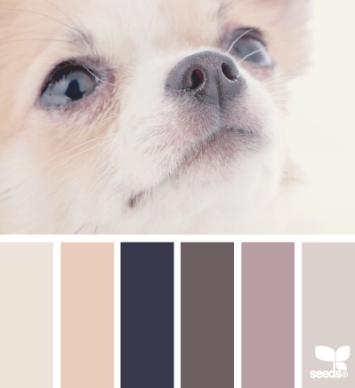 puppy tones