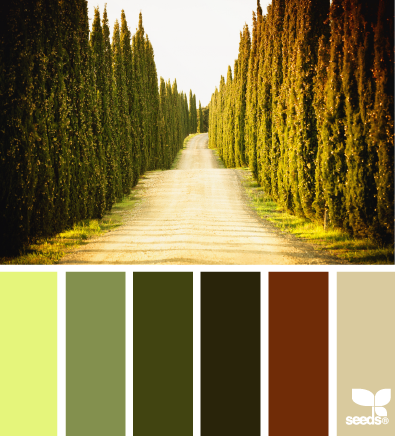 color road