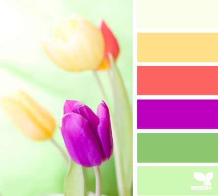 spring brights