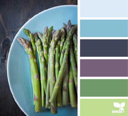 asparagus hues