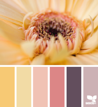 petalled hues