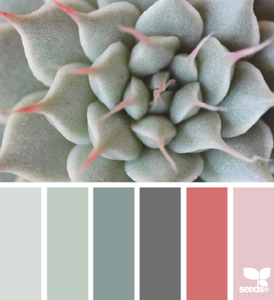 succulent tones