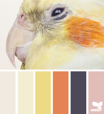 color profile