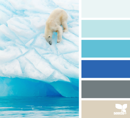 polar hues