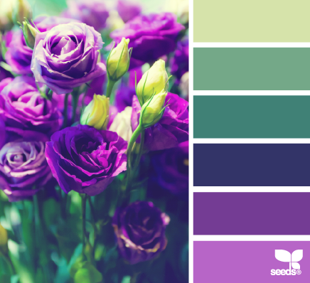 flora palette