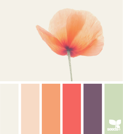 poppy tones