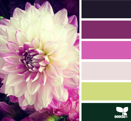 flora palette