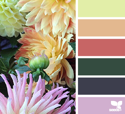 flora palette