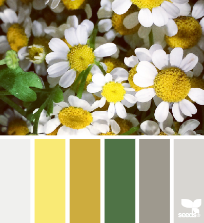 flora palette