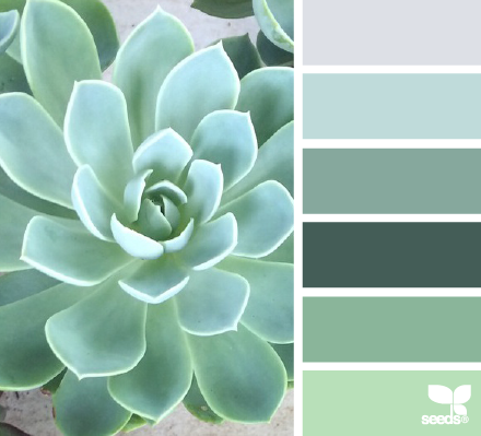 succulent tones