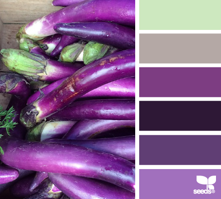 aubergine hues