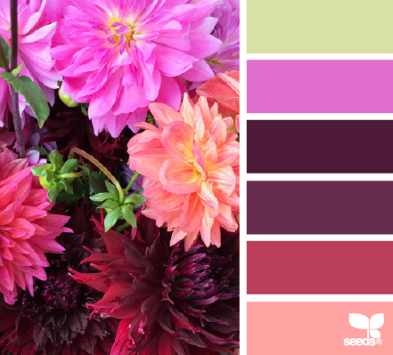 flora palette