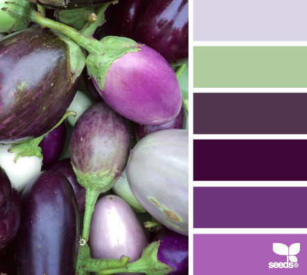 aubergine hues