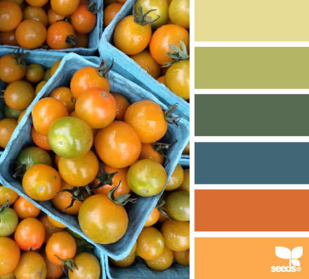 tomato spectrum