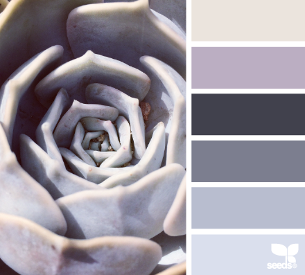 succulent tones