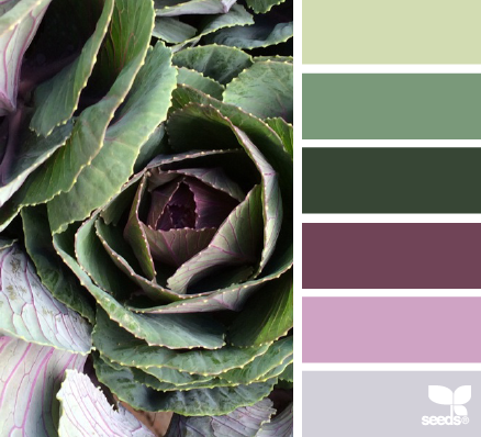 nature palette