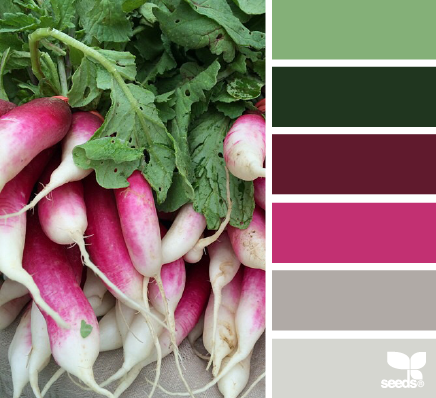 radishing hues