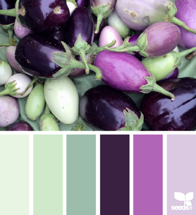 eggplant palette