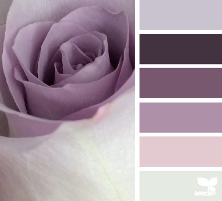 rose tones