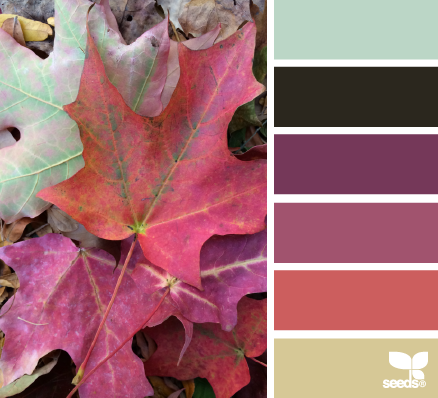 autumn palette