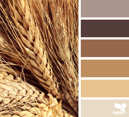 wheat tones