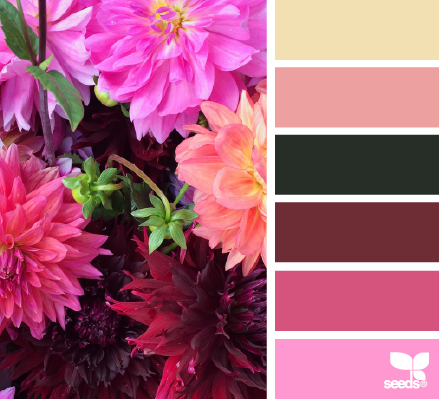 flora palette