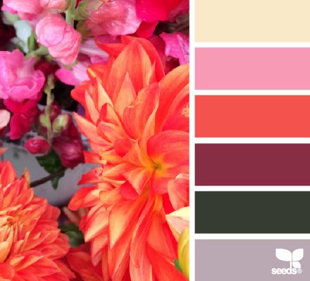 flora hues