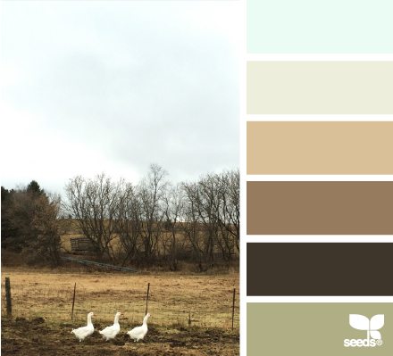 three geese hues