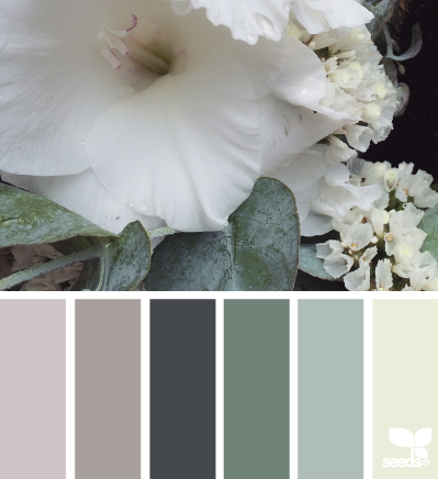 flora hues