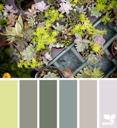 plant hues