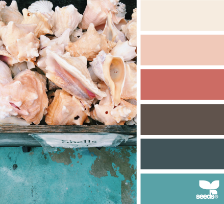 shell hues