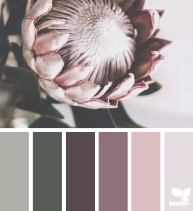 flora tones