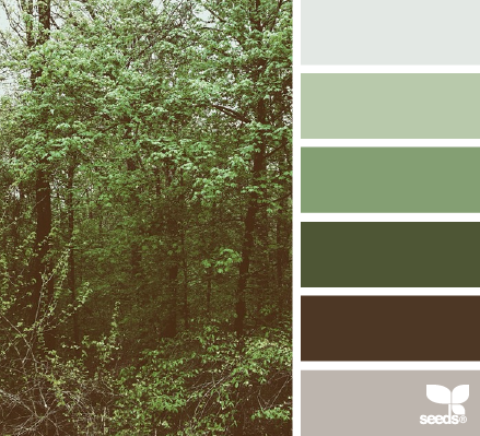 woodsy hues