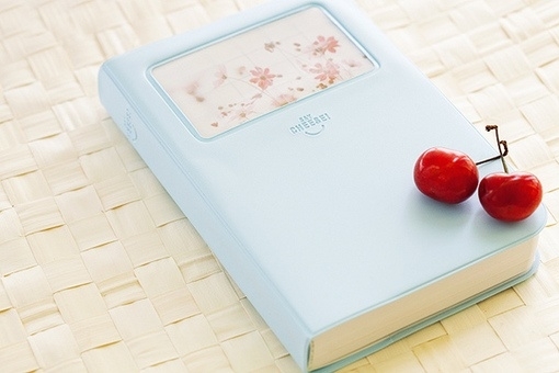 樱桃、笔记本